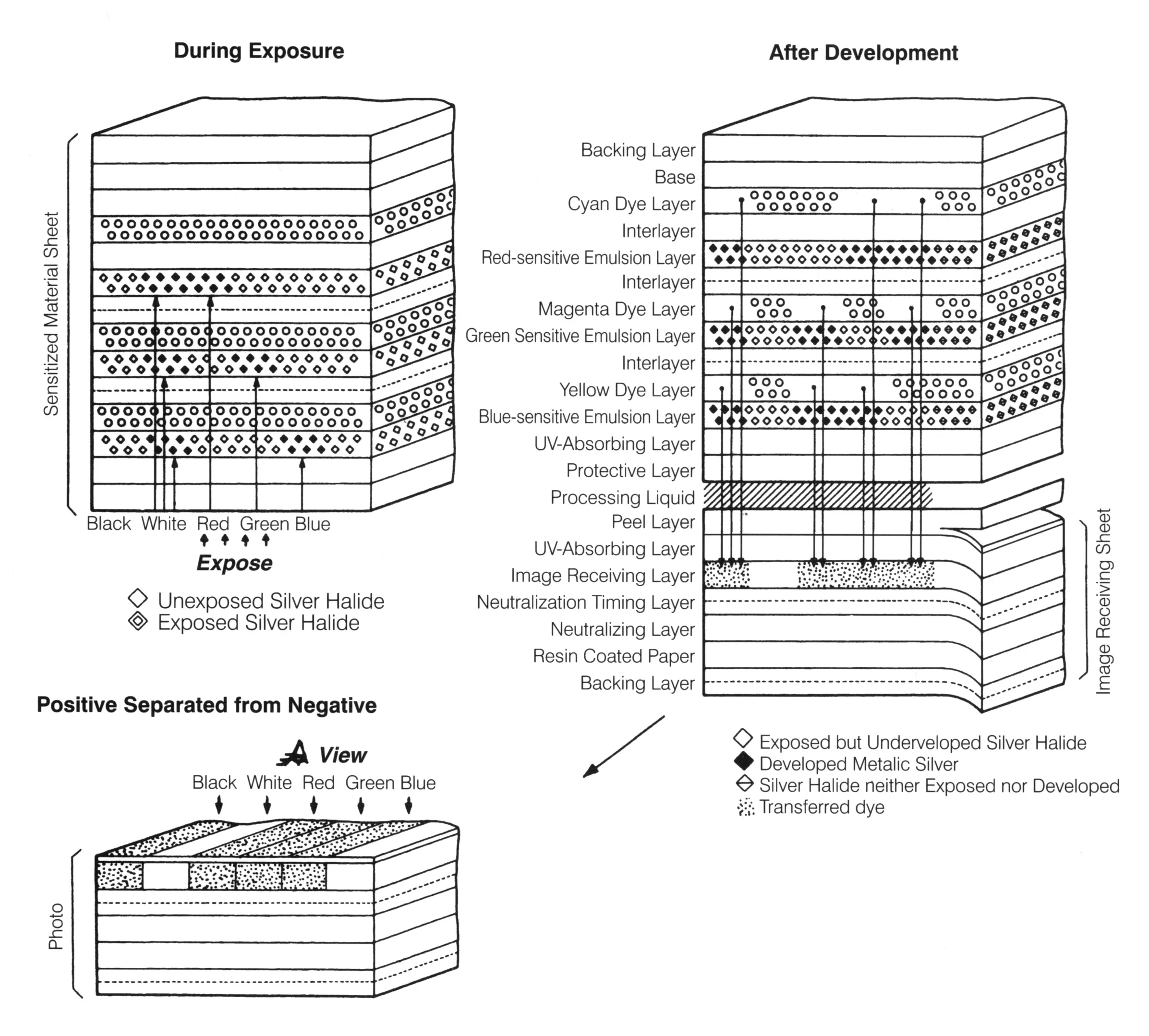 Schematic cross section